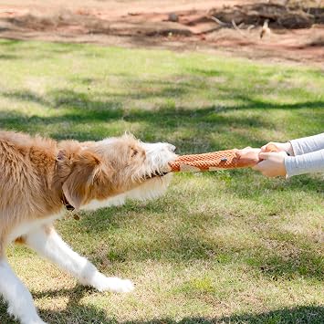Dog Toy with Squeaky, Soft Plush Chew Toy for Small Medium Dogs, Interactive Playtime Buddy with Crinkly Sound, Squirrel
