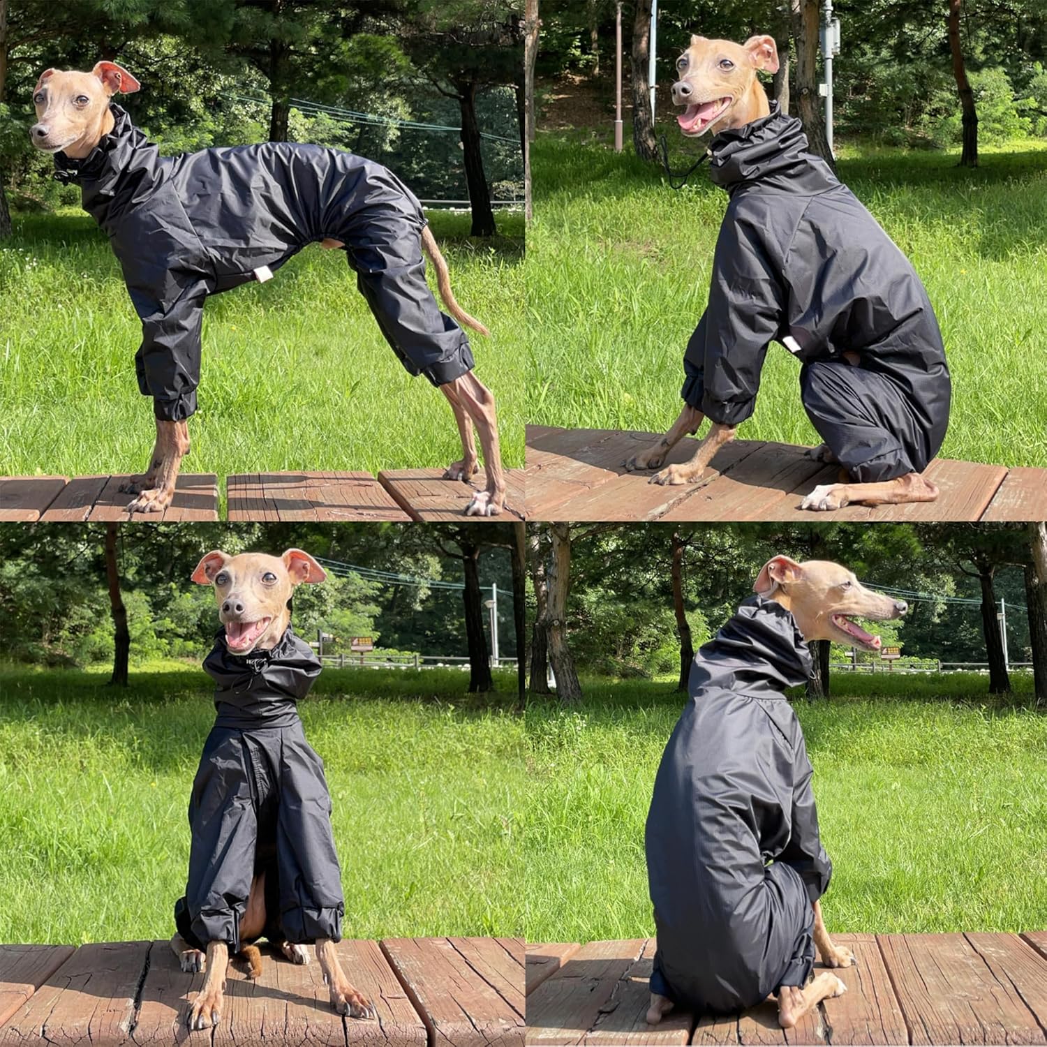 D Doggy Star Italian Greyhound Raincoat Waterproof Jacket Windbreaker Clothes Whippet for Dog (L,Raincoat Black)