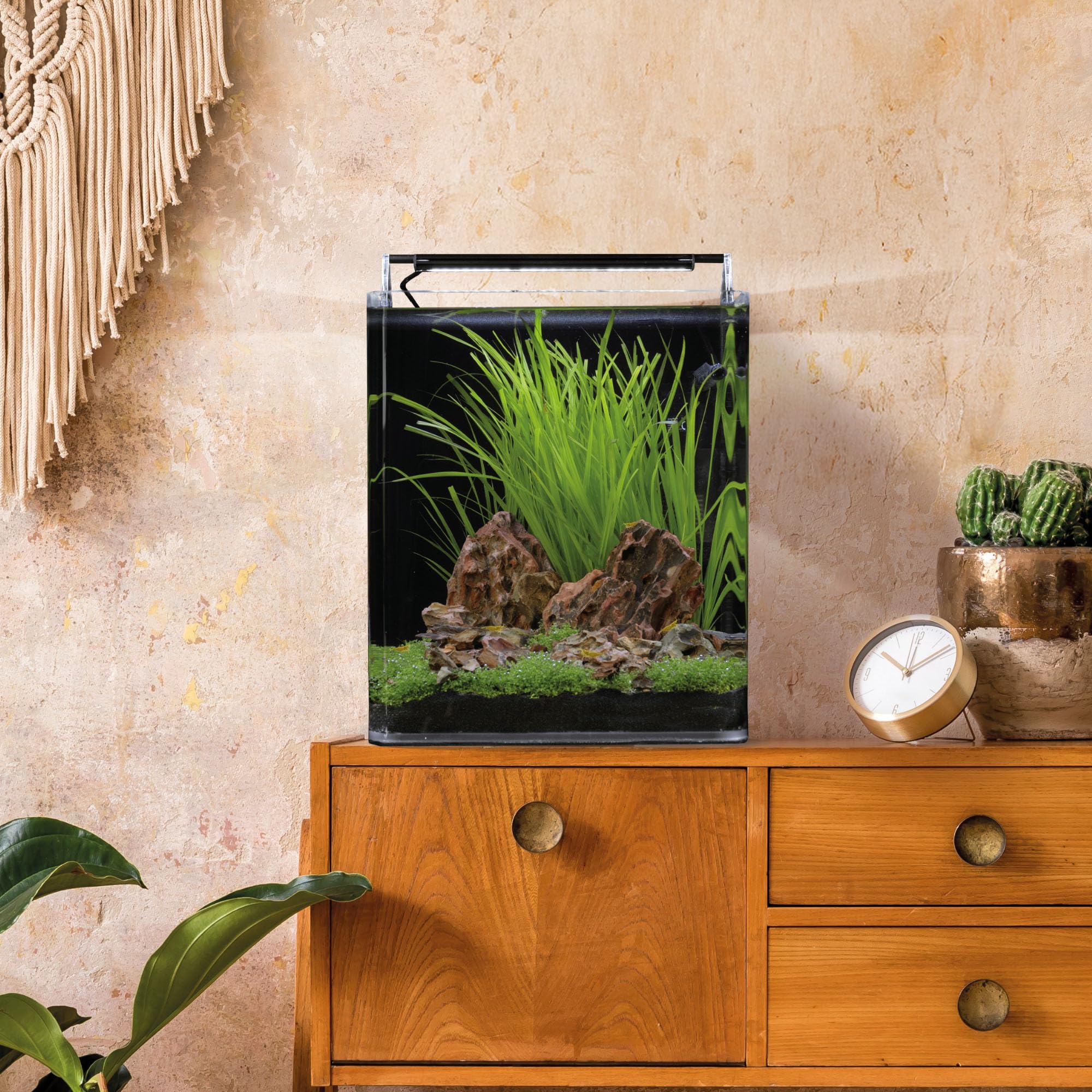 Dennerle Nano Cube Complete, 30 Liter - 30 x 30 x 35 cm - Mini-Aquarium Komplett-Set mit abgerundeten Ecken