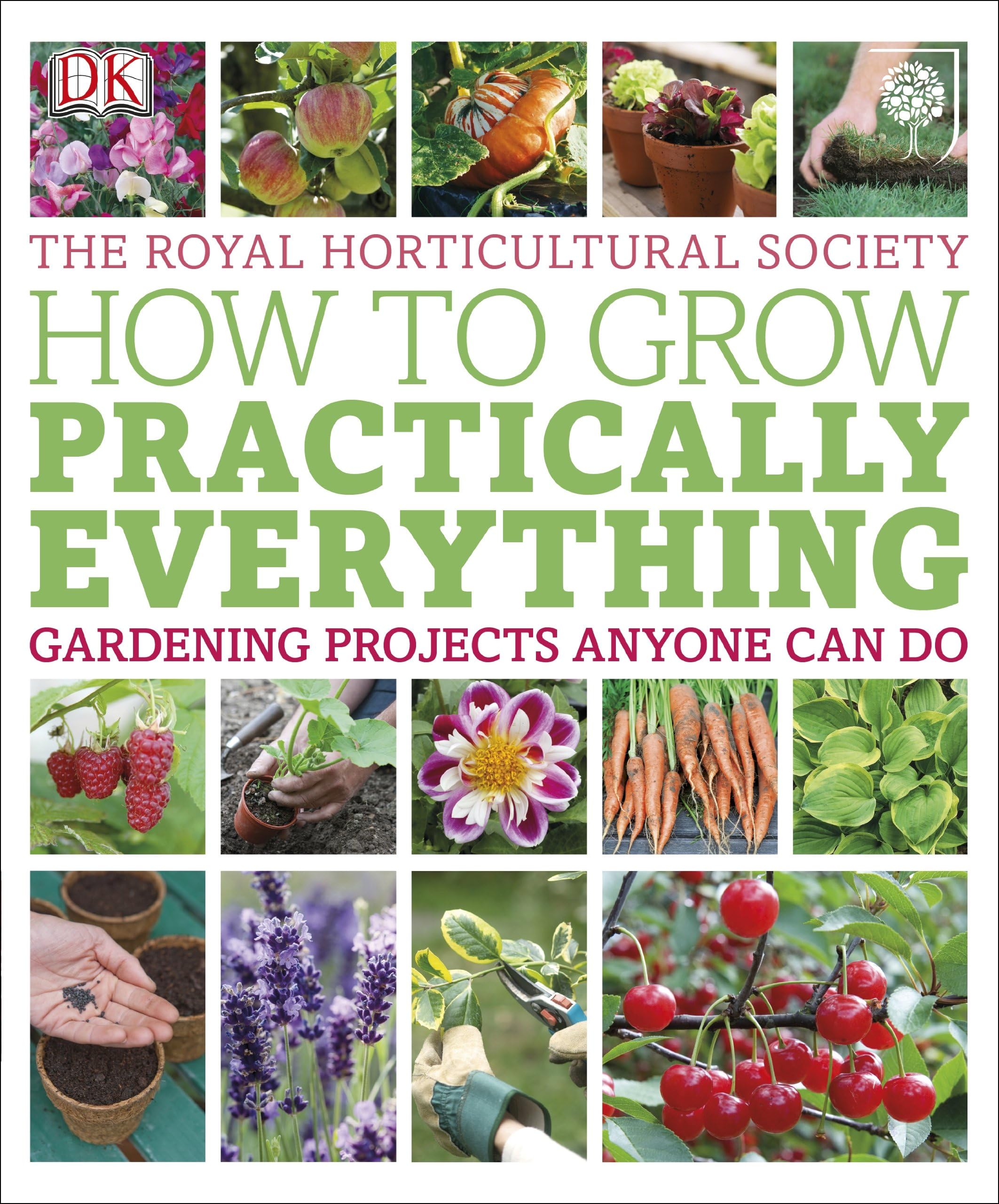 RHS How to Grow Practically Everything: Gardening Projects Anyone Can Do