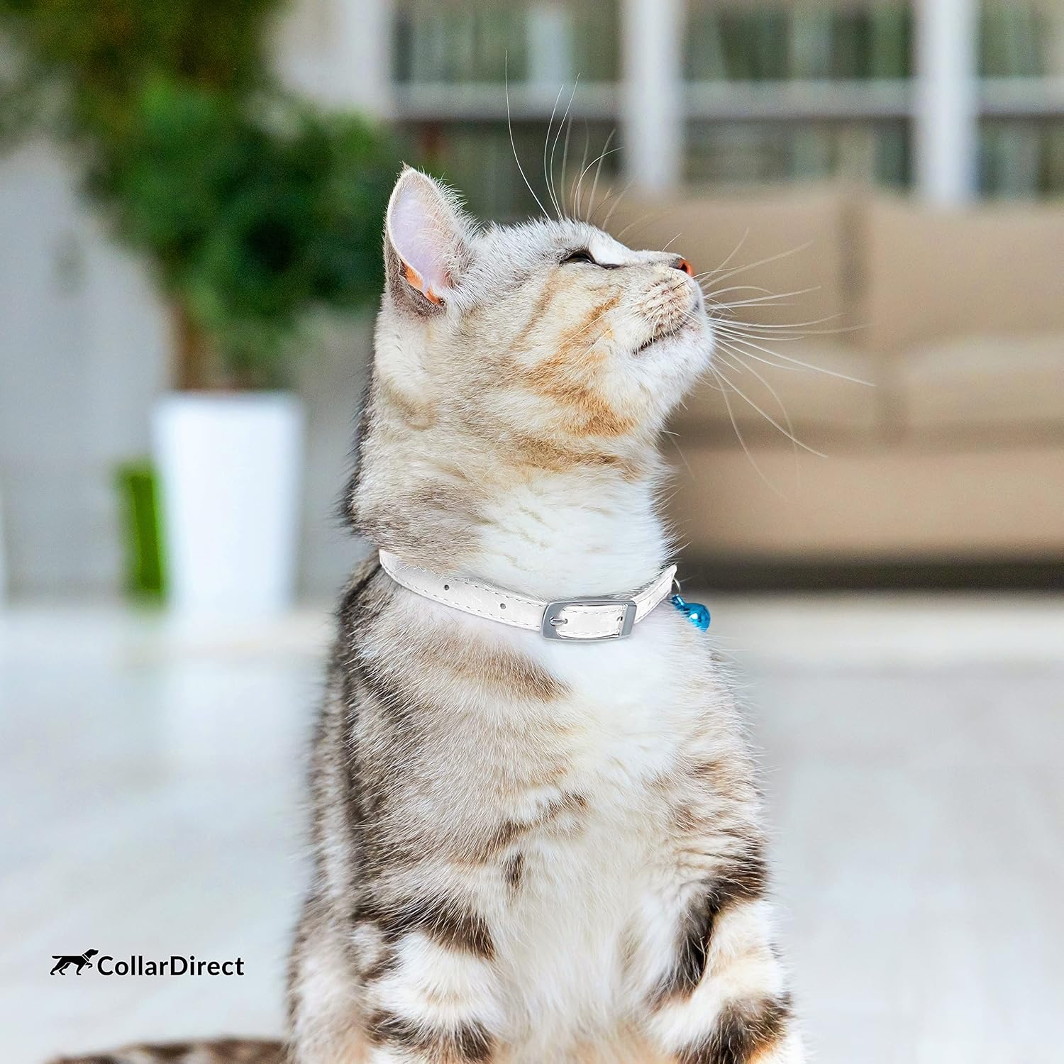 Soft Leather Cat Collar with Safety Elastic Strap | Removable Bell, Steel Buckle, Safety Elastic Strap (Breakaway Alternative), Double Stitching, For Small & Big Boy & Girl Cats