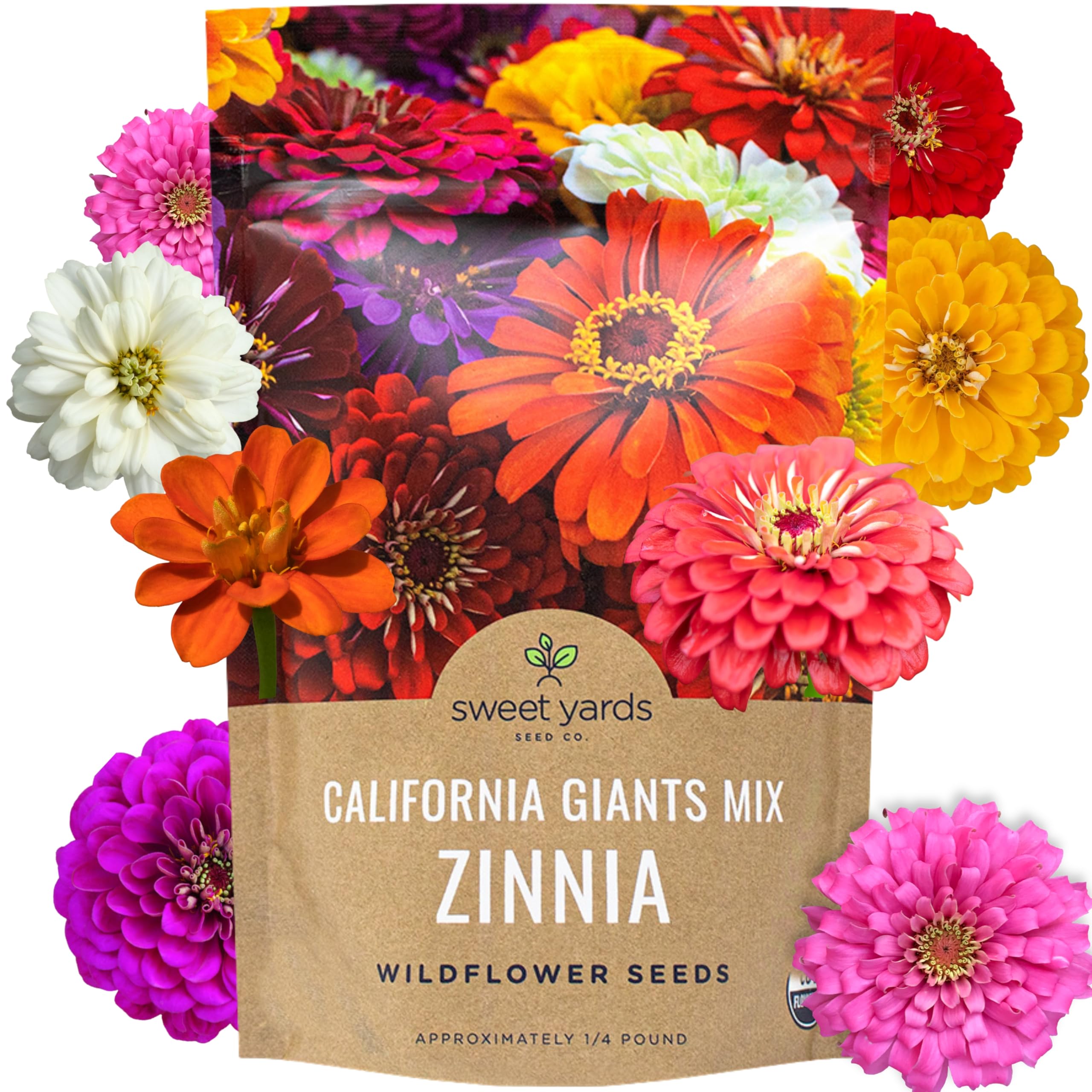 Bulk Zinnia Seeds California Giants