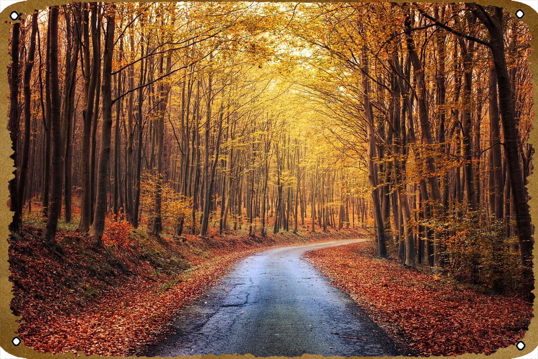 Fall forest road Retro Metal Tin Sign,Art Retro Poster,Bedroom Cafe Home Pub Club Wall Signs Decor Vintage Tin Poster, 8x12inch