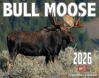 2026 Bull Moose Wall Calendar 16-Month X-Large Size 14x22, Wild Bull Moose Calendar by The KING Company-Monster Calendars