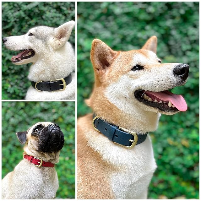 Foto 3 de 8 de Tuff Pupper Collar clásico para Perro Resistente