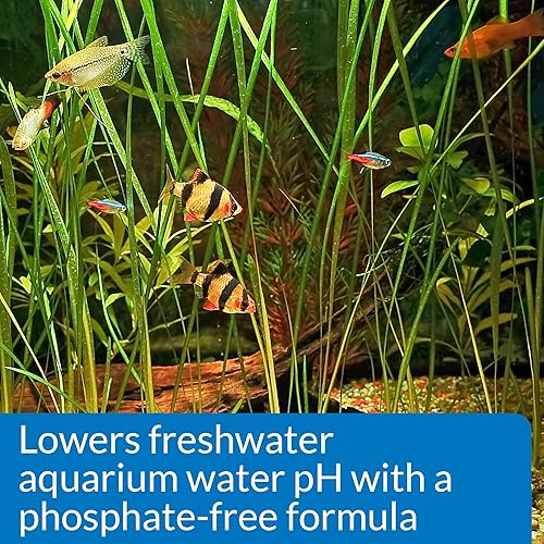 API Aquarium Pharmaceuticals 30B pH Down Aquarium pH Adjuster, 16 oz, Model Number: 17163020301, Hook(4 oz,Down)