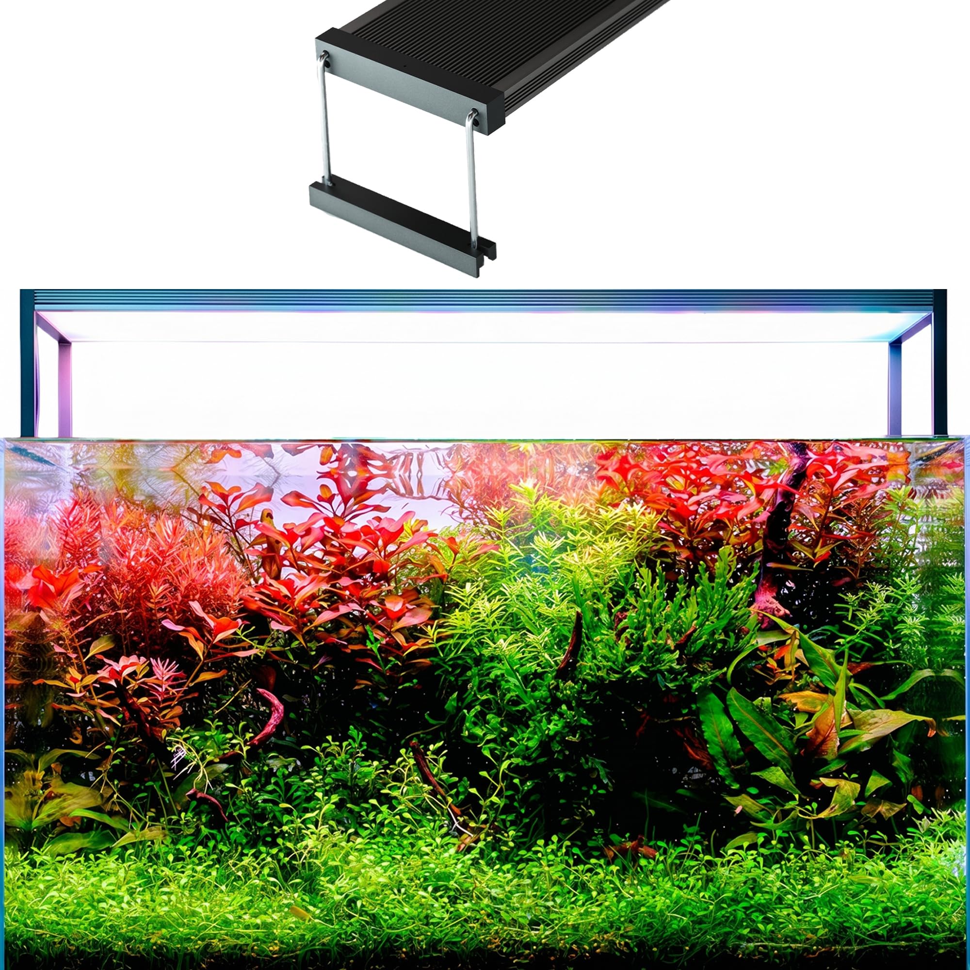 カミハタ TWINSTAR LIGHT 600S Amazon.com: TWINSTAR S Line 600S WRGB LED Aquarium Light, Fits 24