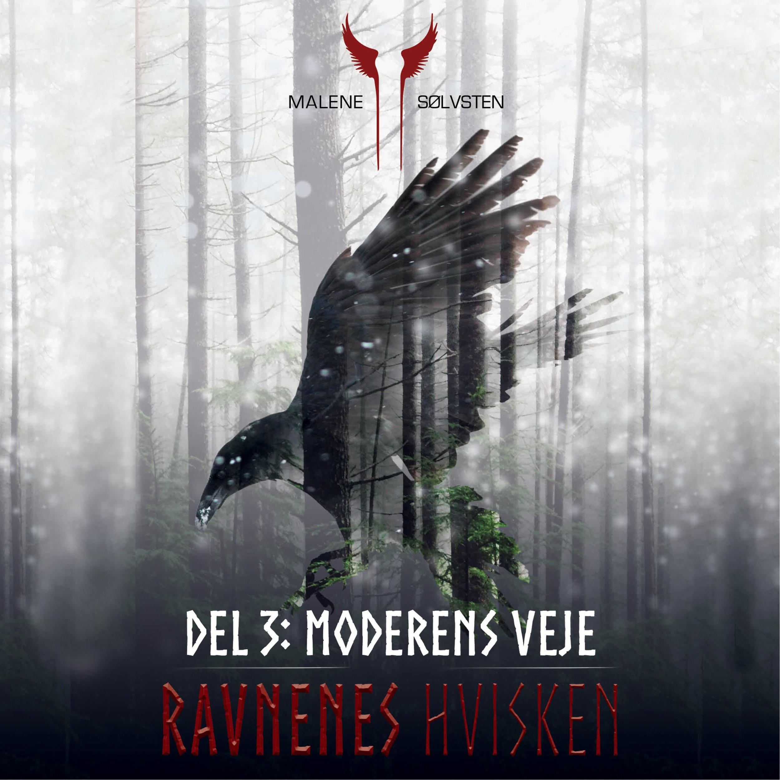 Cover art for Moderens veje