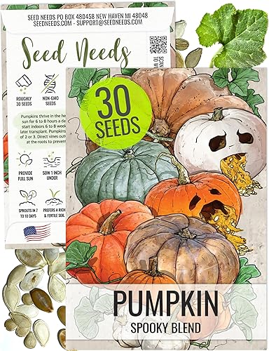 Seed Needs Semillas de calabaza para plantar Mezcla espeluznante - 30 semillas autóctonas premium (Lumina White, Jack O Lantern, Baby Boo, Blue