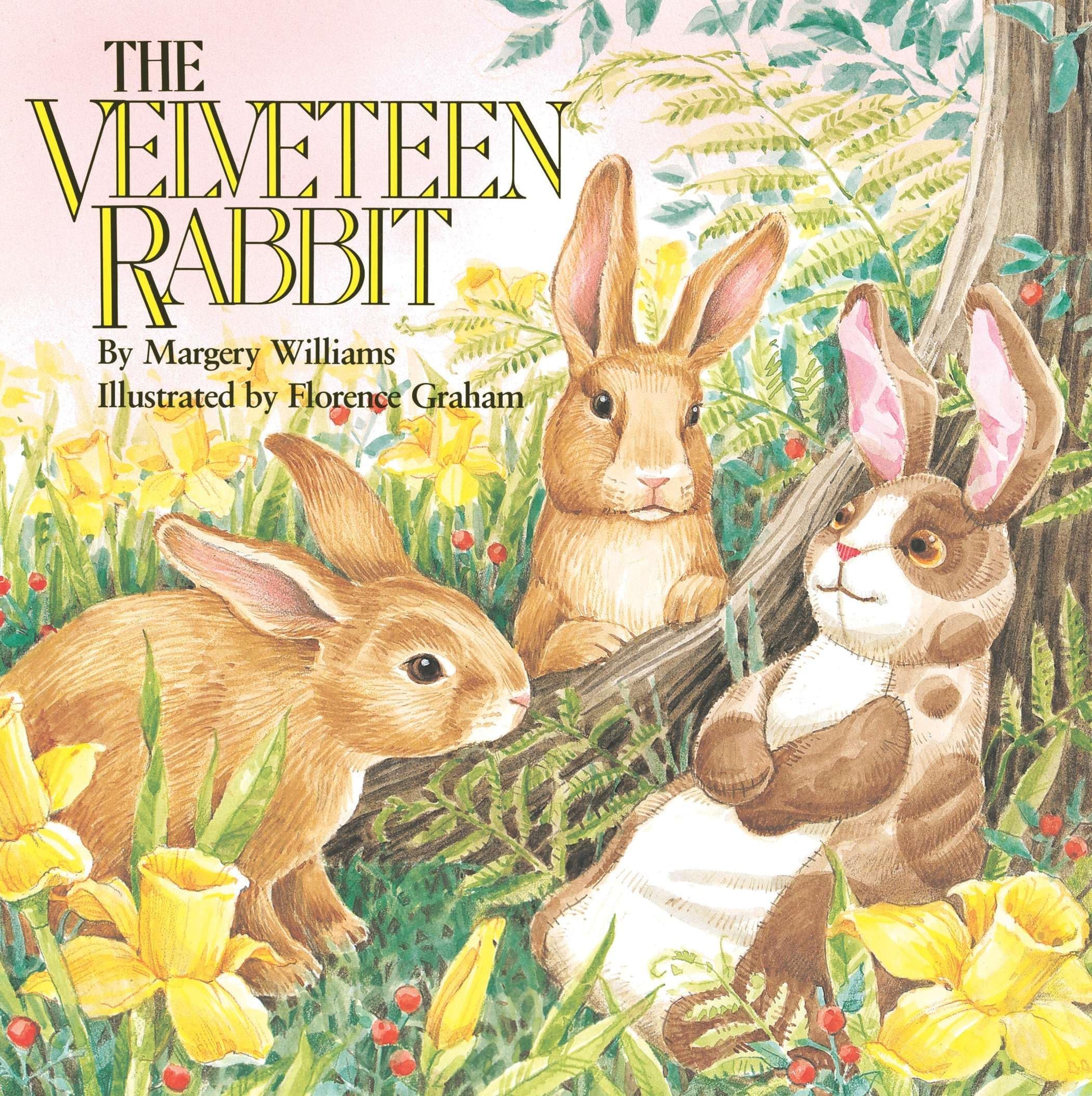 The Velveteen Rabbit: Or How Toys Become Real (All Aboard Books)