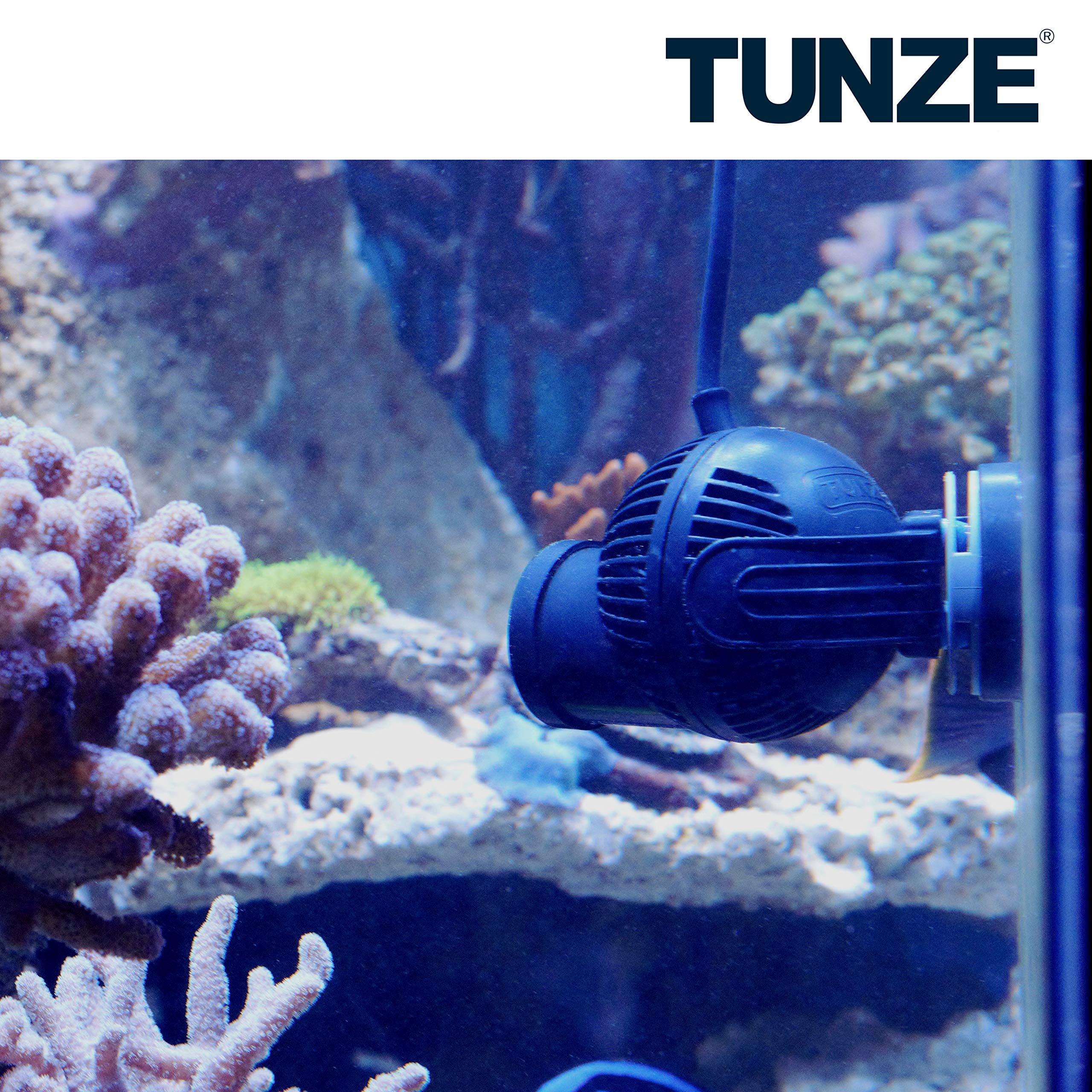 Amazon.com : Tunze Turbelle NanoStream Pump 6025 (New Generation