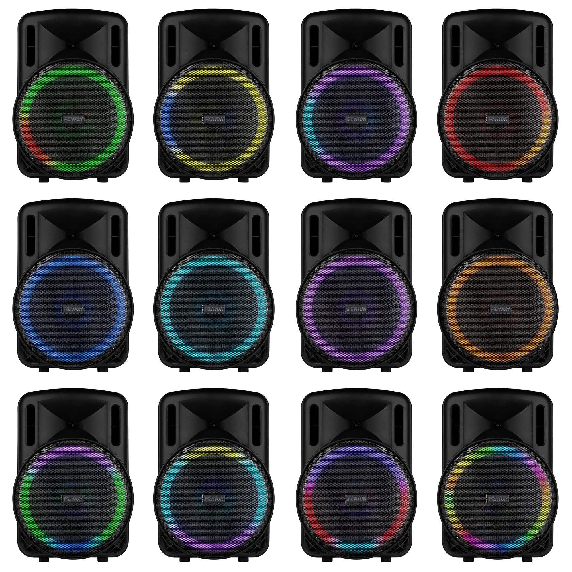 FENTON 170.161 FT10MK2 Sistema Portatile attivo da 450W, con illuminazione LED RGB Woofer da 10” con BT/USB / MP3 e Microfono UHF, Nero (450, Watt)