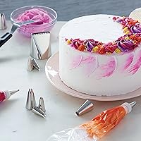 Vista 5 de Wilton Kit Cómo decorar pasteles y postres - Aprende a crear hermosos diseños en pasteles, cupcakes y golosinas utilizando técnicas y herramientas