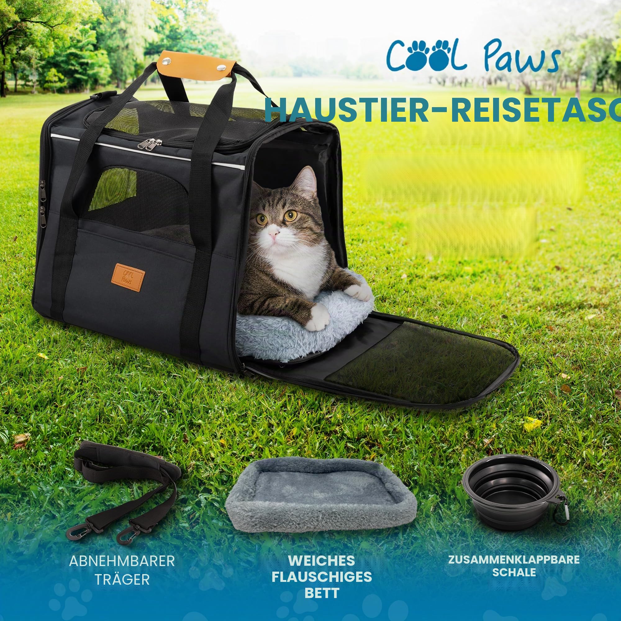 Haustier-Tragetasche für Katzen & kleine Hunde - Leichte, atmungsaktive Haustier-Reisetasche mit Netzseiten, verstärktem Rahmen, Abnehmbarer Matte und Schultergurt für sicheren Transport