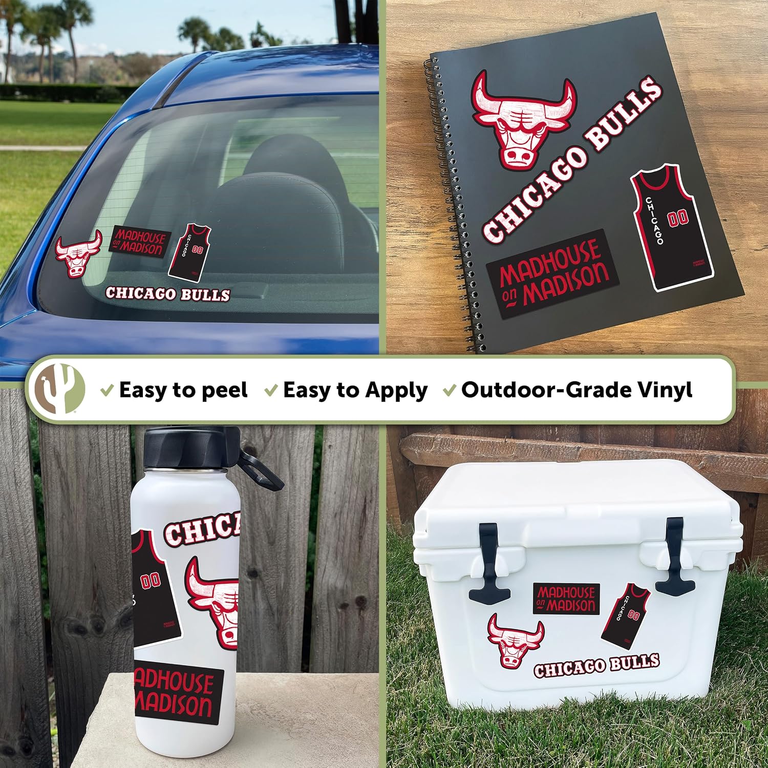 Desert Cactus Chicago Bulls Sticker NBA Officially Licensed Vinyl Decal Laptop Water Bottle Car Scrapbook (City Edition 2023)