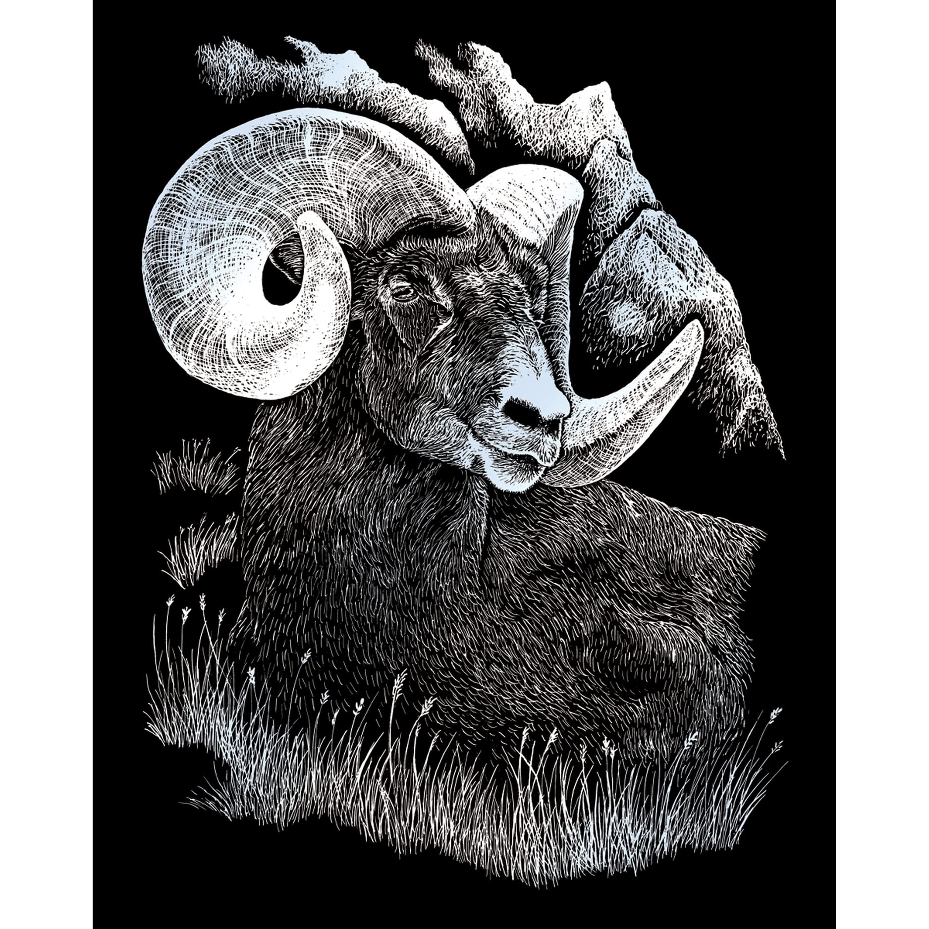 Pracht Creatives Hobby 4674-20041 Scratch Painting kit, Sheepbock