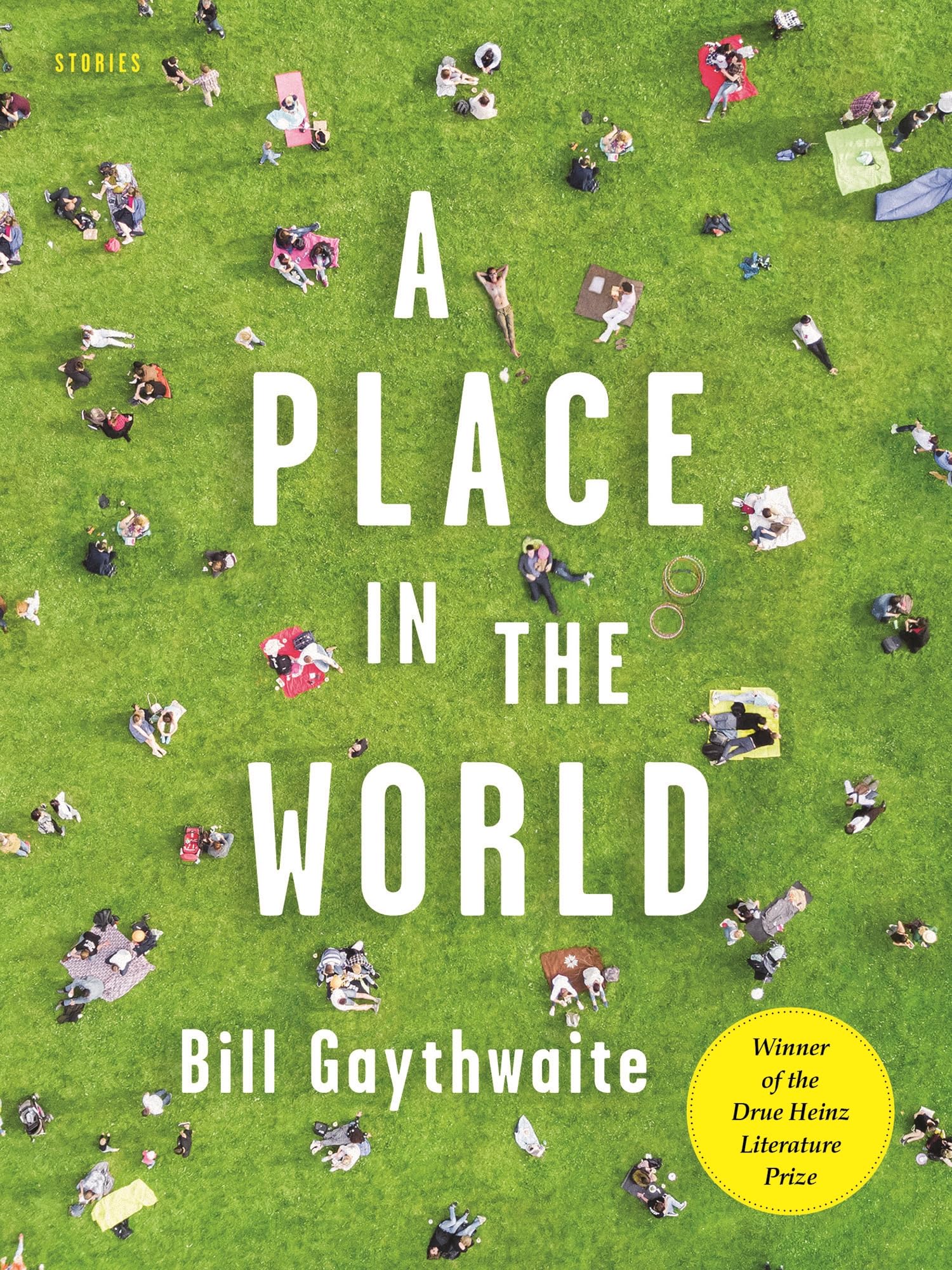 A Place in the World: Stories: 35 (Drue Heinz Literature Prize)