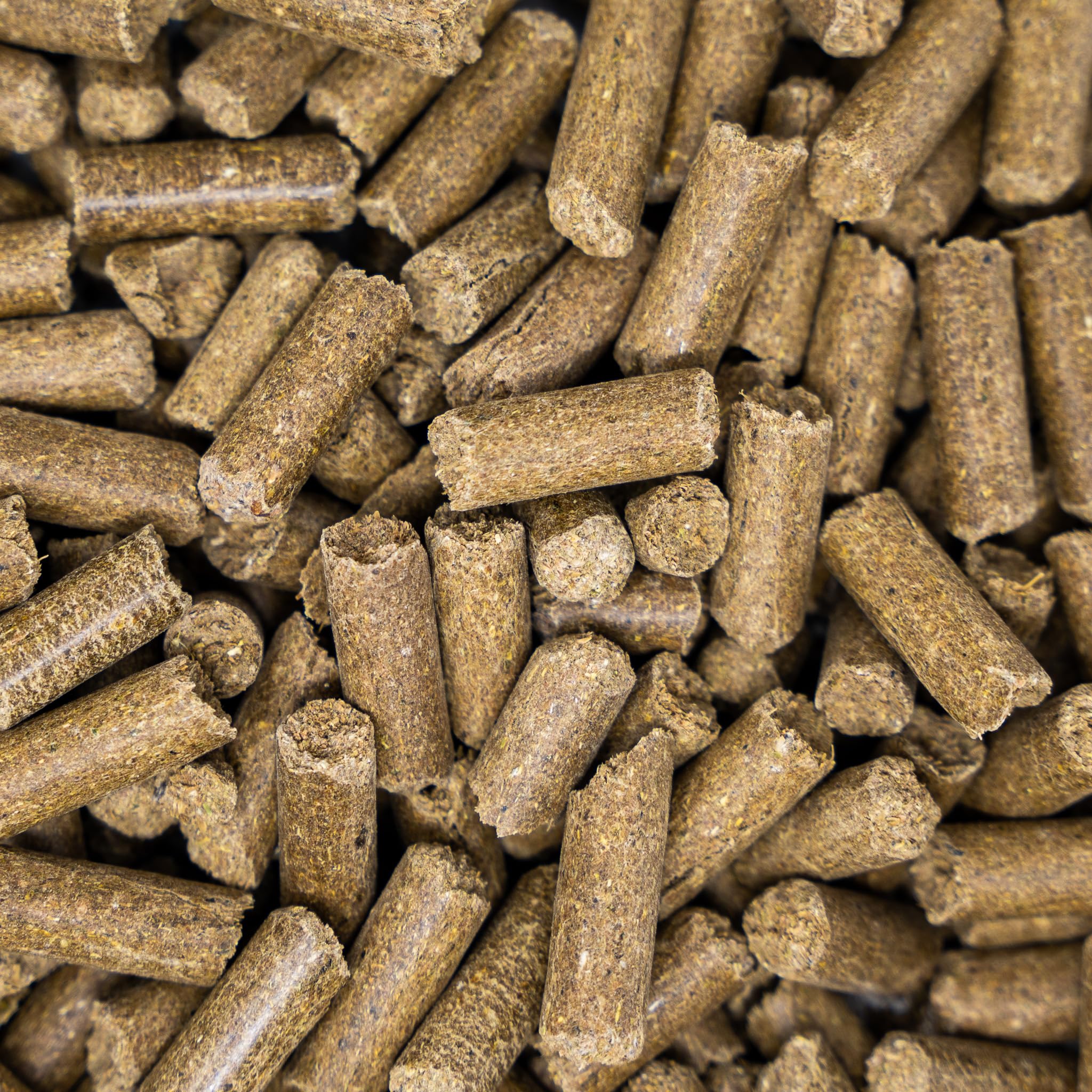 Horse Treats 1kg, Minty Flavour, Fibre Based, Low Sugar, Cereal Grain Free, Feed By Hand - Image 2