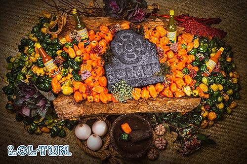 Miniatura 2 de Lol-Tun Salsa de Chile Chipotle - Botella de 5.29 oz / 5 fl oz (paquete de 2) Natural, sin OMG, a base de plantas, sin gluten. Auténtico sabor