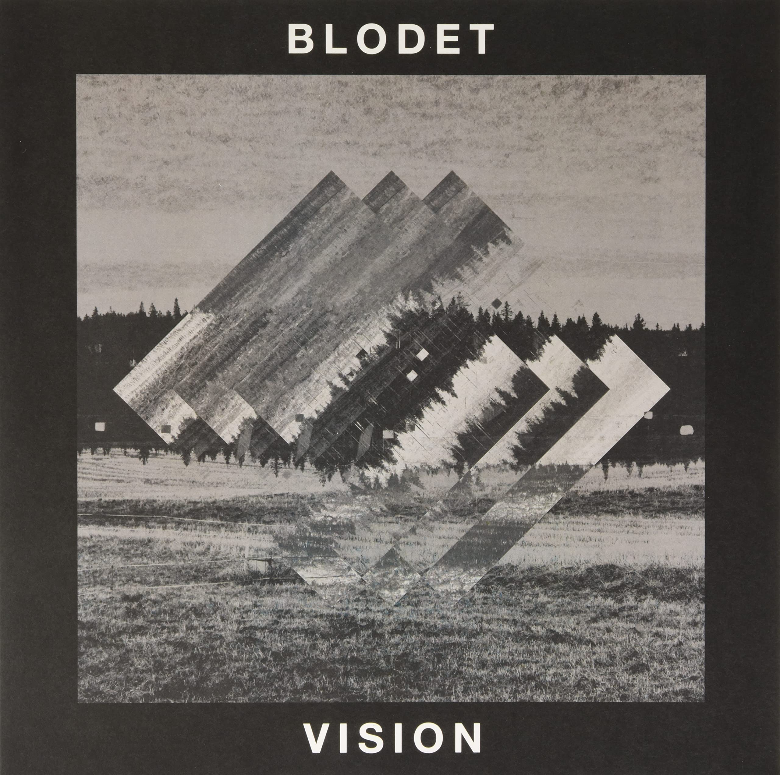 Vision [VINYL]