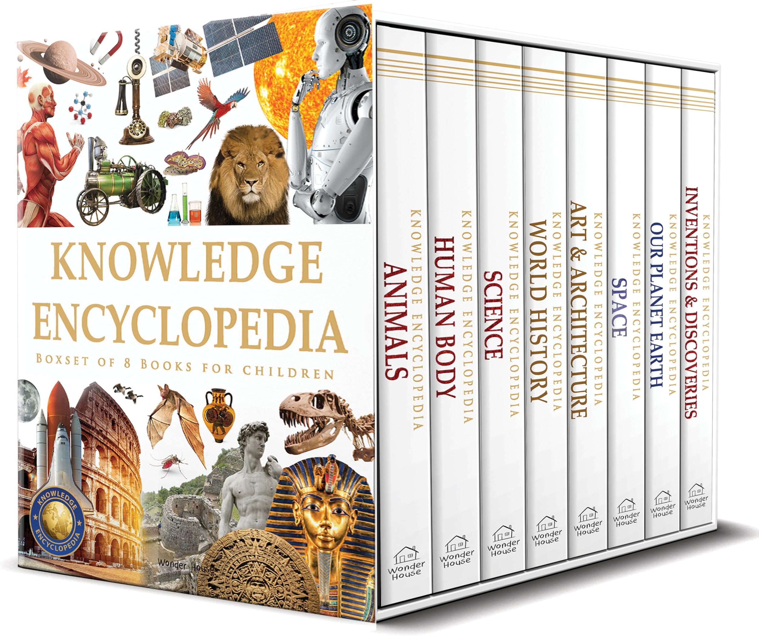 Knowledge Encyclopaedia Boxed Set 8 Paperback Books For Kids Age Group 10+
