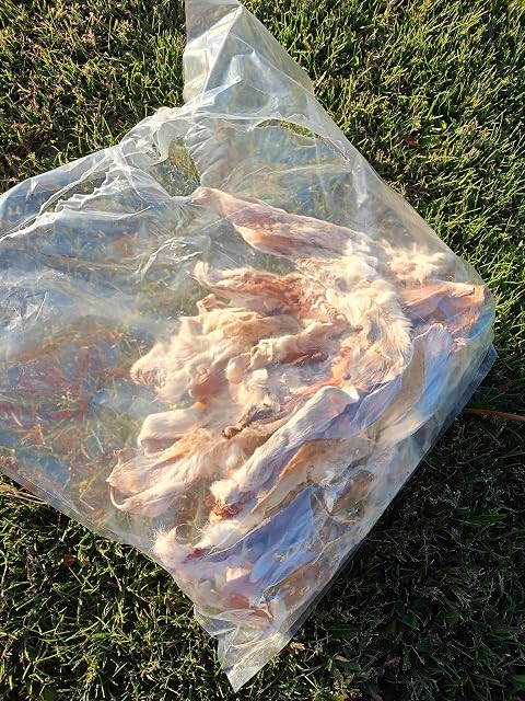 Foto 6 de 8 de Lucze - Orejas de conejo con pelo para perros, 1 kg, hipoalergénicas y sin cereales, naturales, aprox. 20 cm…