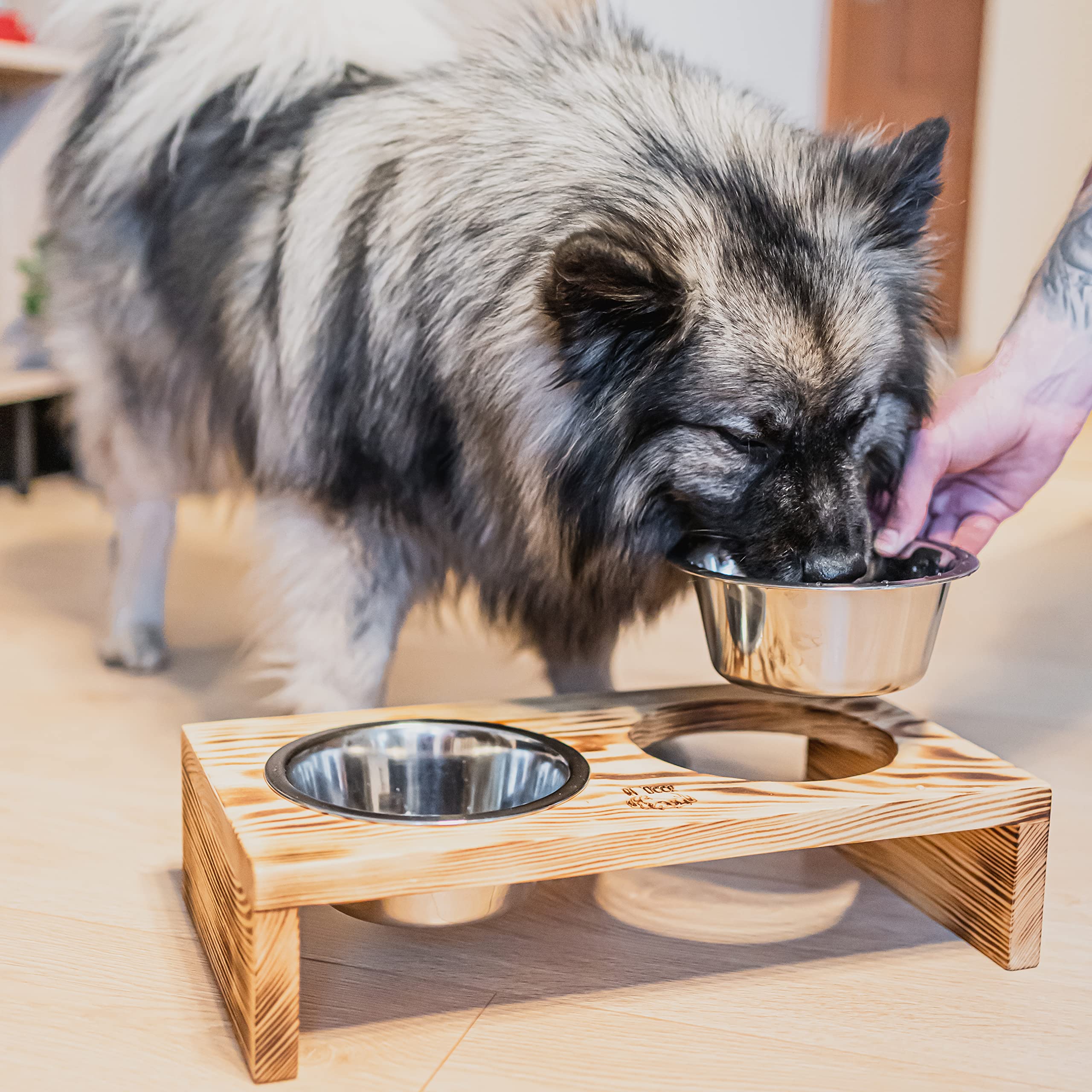 Mangiatoia per cani e gatti Comodità di mangiare Bel design Prodotto naturale ed ecologico Facile da pulire 35x18x7 cm Piccolo