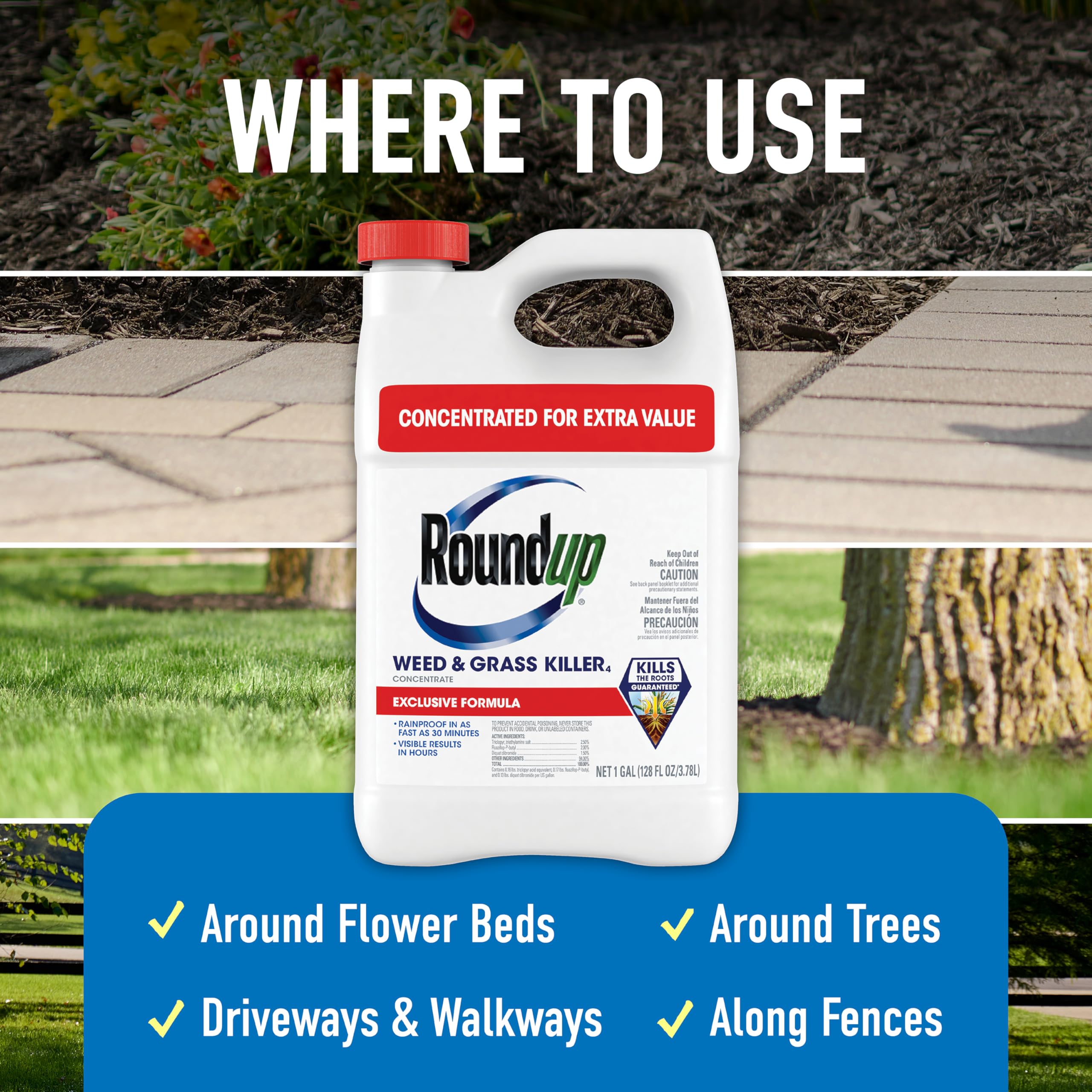 Amazon.com : Roundup Weed & Grass Killer Concentrate, Use in and Around  Flower Beds, Walkways and Other Areas of Your Yard, 1 gal. : Patio, Lawn &  Garden