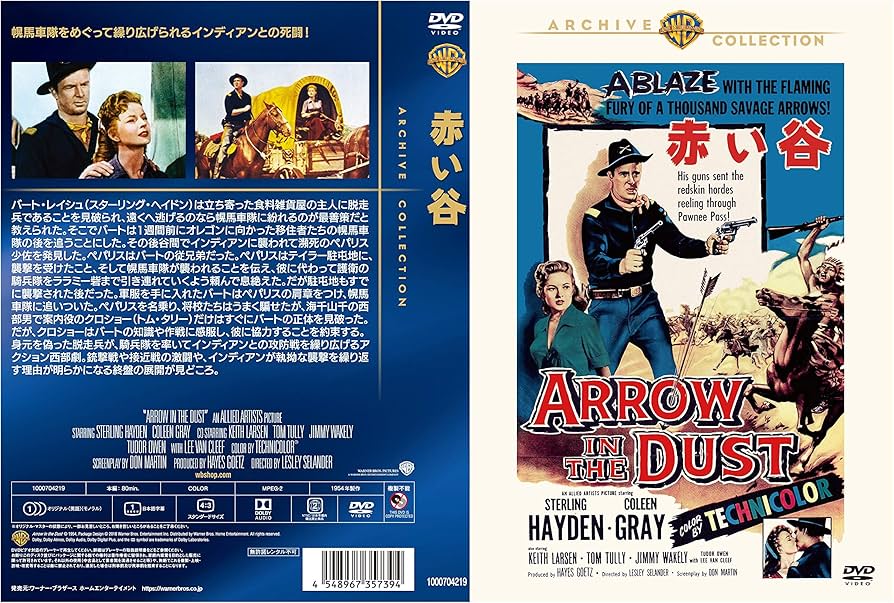 廃盤 DVD イニスフリー('90スペイン/仏/アイルランド) 特典映像多数収録 廃盤 DVD イニスフリー(´90スペイン/仏/アイルランド) 特典映像