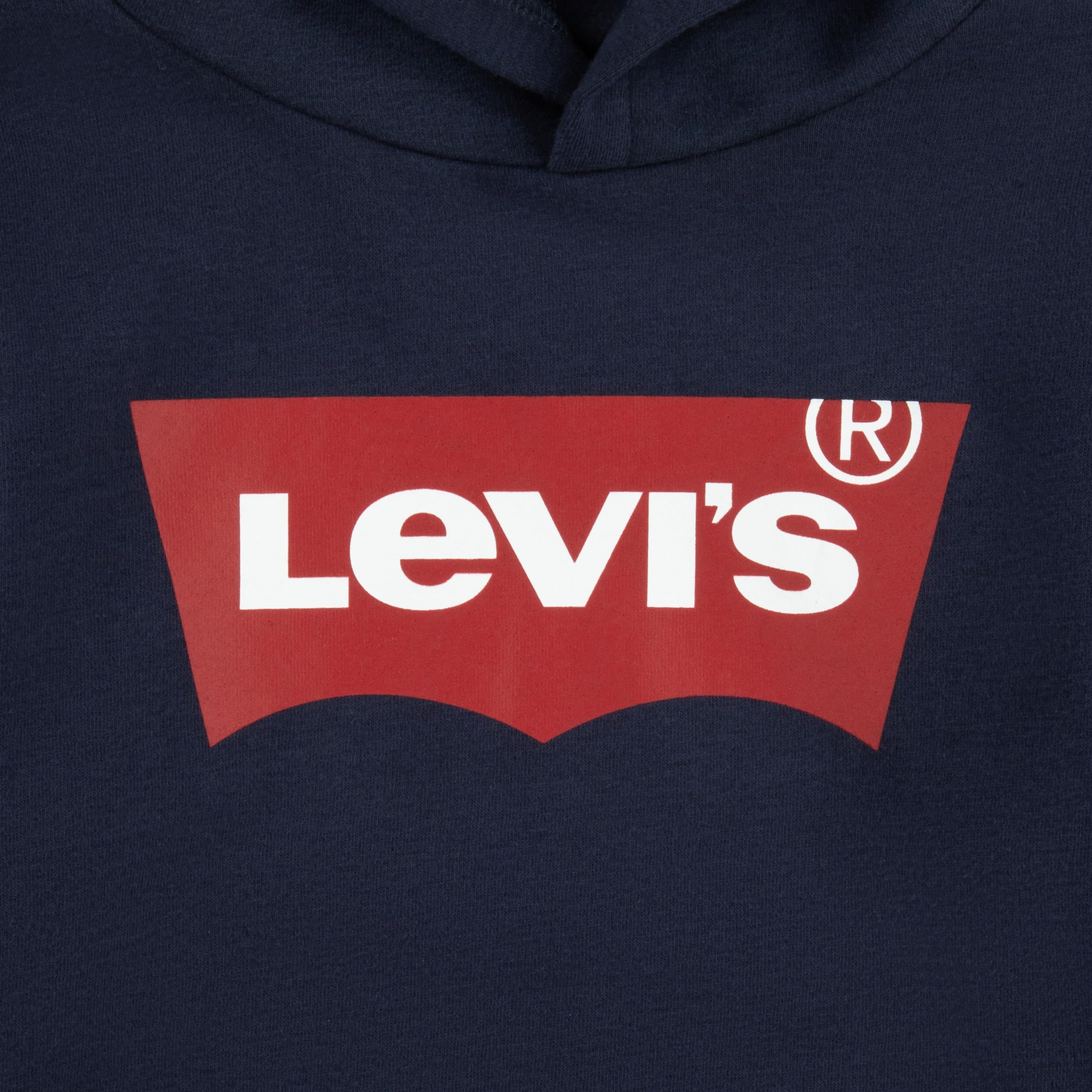 Levi's Bluza Chłopcy Lvb Batwing Screenprint Hoodie (1 w zestawie)