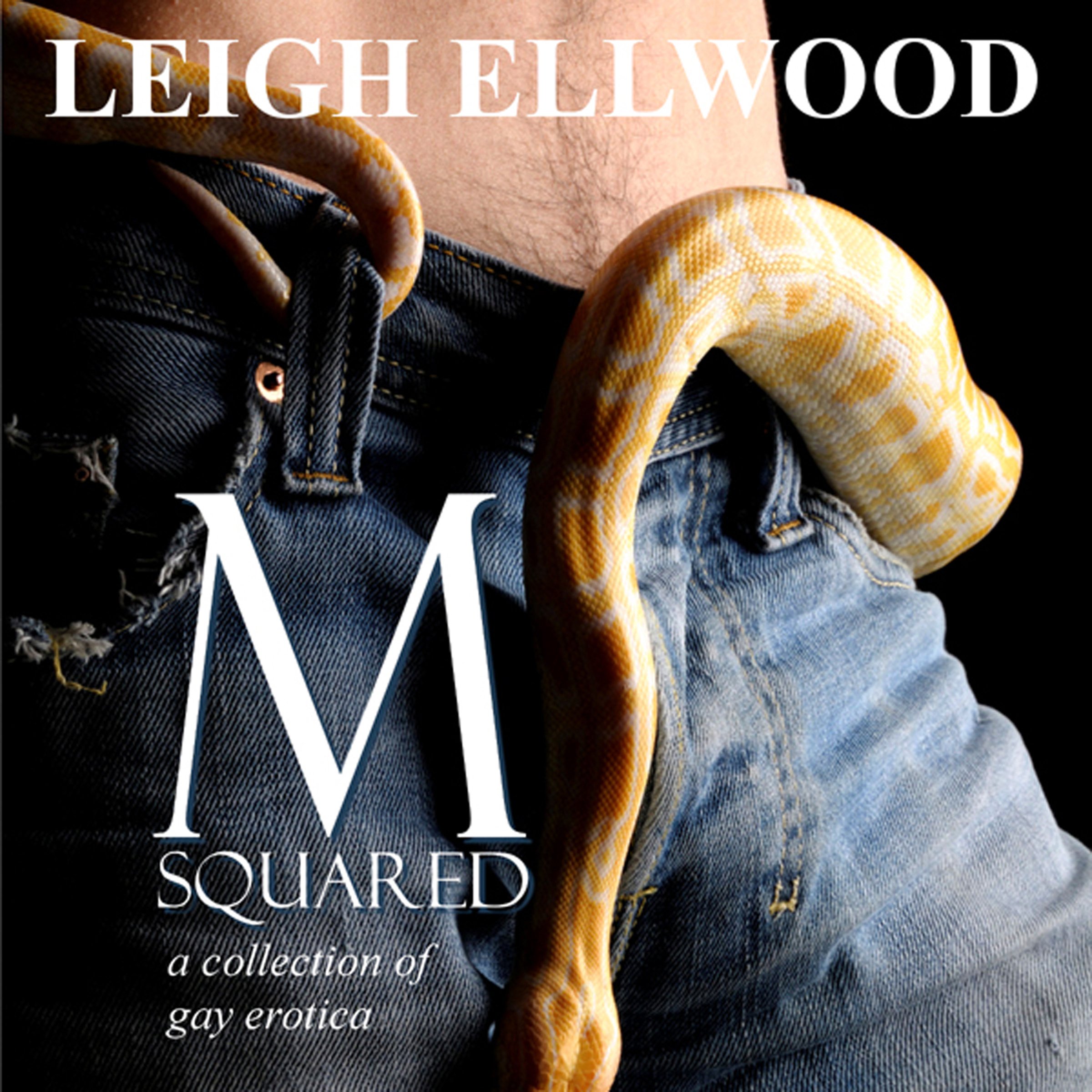 M-Squared: A Collection of Gay Erotica