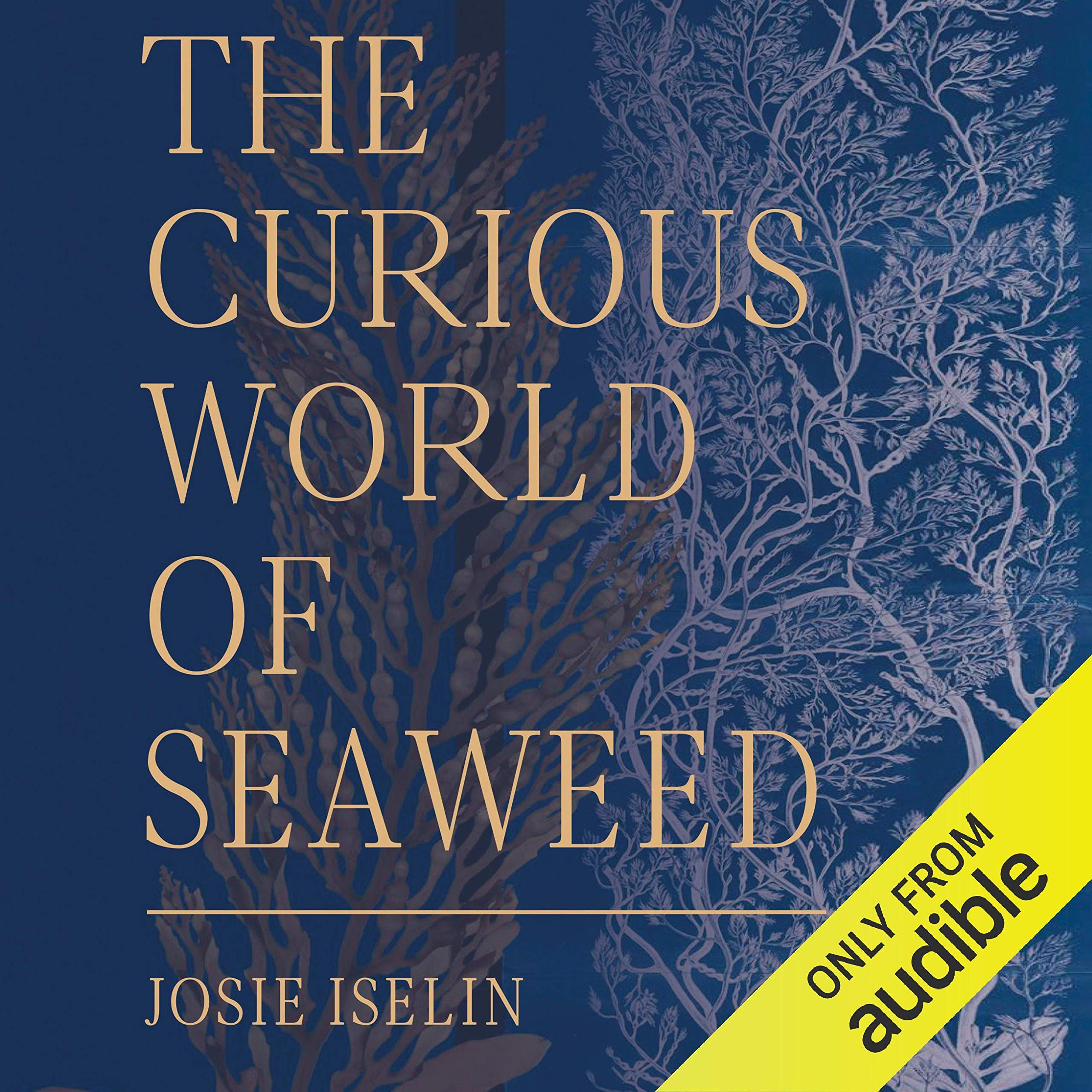 Cover art for The Curious World of Seaweed