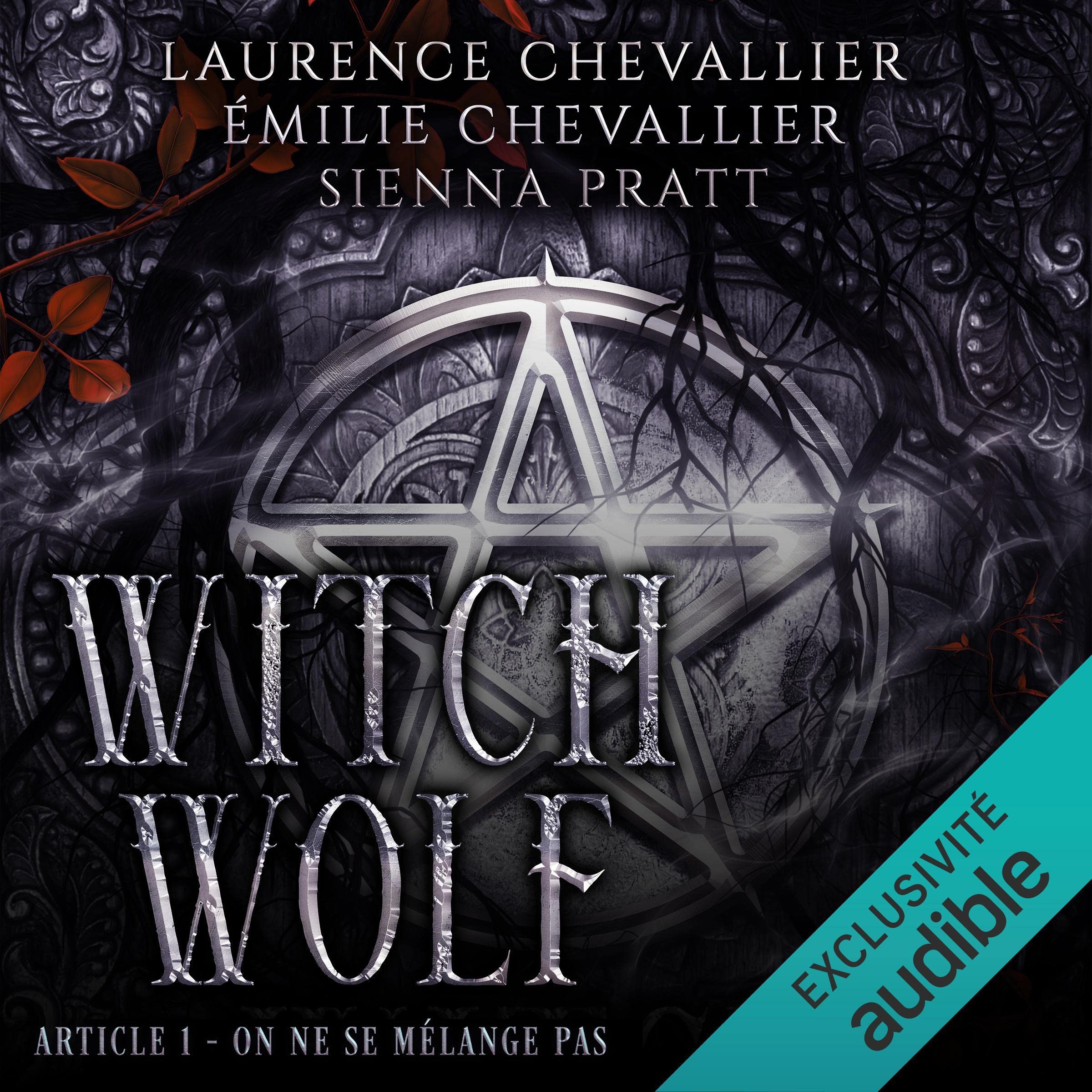 Cover art for Witch Wolf (French edition)