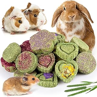 Sofier 20Pcs Timothy Hay Treats - Natural Chews for Teeth - Handmade Rabbit, Chinchilla, Gerbil, Rat, Hamster Toys - Bunny & Guinea Pig