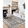 Loloi Teagan Collection TEA-03 Denim/Pebble 7'-11" x 10'-6" Area Rug, Large, Soft Neutral Rug, High-Traffic for Living Room, Bedroom, Home Office, Dining Area