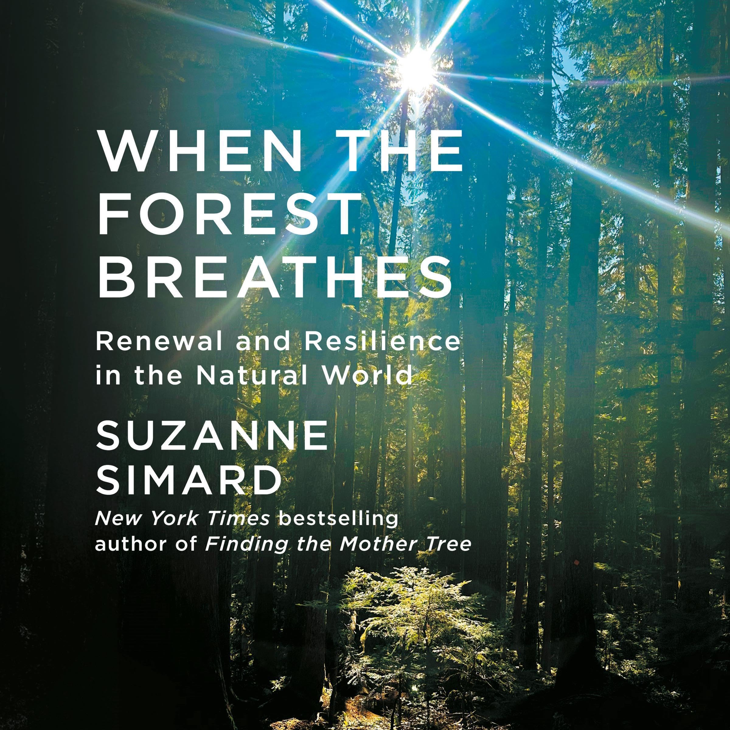 Cover art for When the Forest Breathes