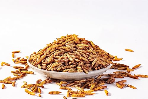 Miniatura 4 de I LOVE WORMS Larvas de mosca soldado negra secas (5 libras), 100% Natural sin OMG, Tratamiento para pollos, Alimento para pollos con más calcio que