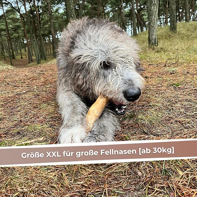 Foto 3 de 8 de Zoys Madera de café para perros, hueso masticable natural para perros en 5 tamaños