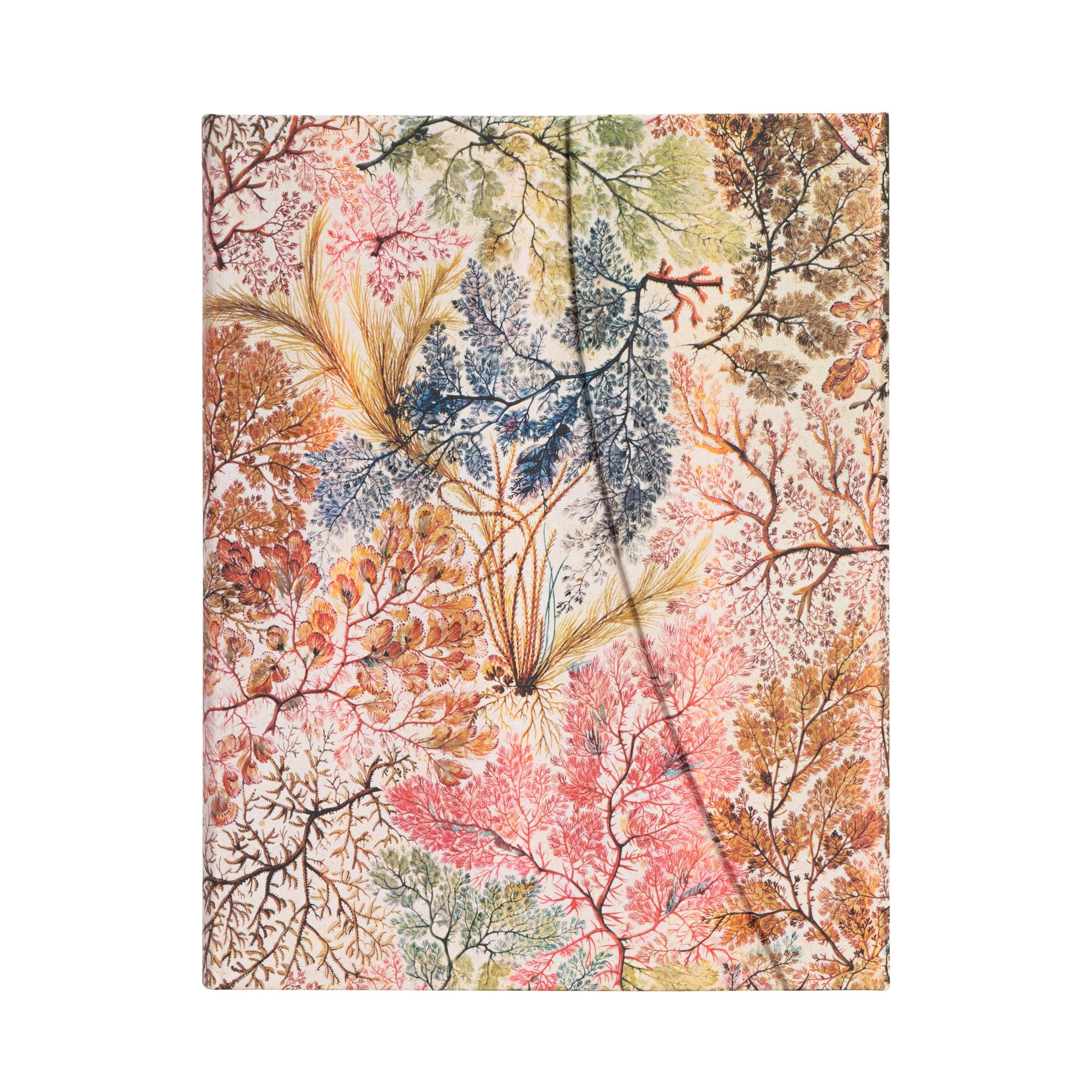 Paperblanks | Anemone | William Kilburn | Hardcover | Ultra | Lined | Wrap Closure | 144 Pg | 120 GSM