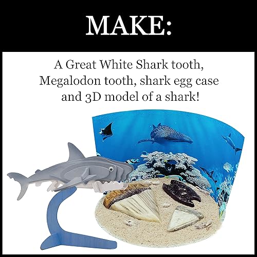 Miniatura 4 de WILD EnvironmentTAL SCIENCE Extreme Sharks of the World - Kit de manualidades científicas - Haz modelos, dioramas y estudia los animales más