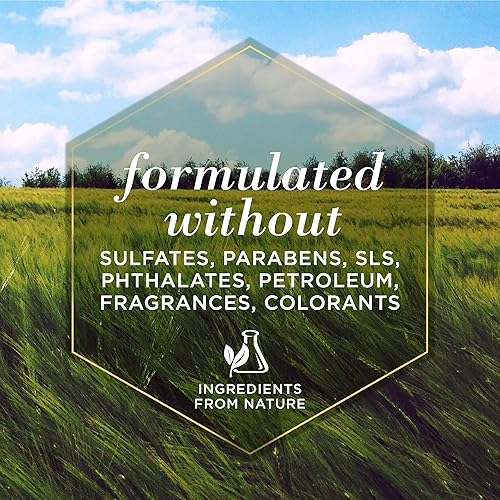 Miniatura 8 de Burt's Bees for Pets Champú hipoalergénico para perros con manteca de karité y miel  Champú para perros para pieles sensibles  Sin crueldad, sin