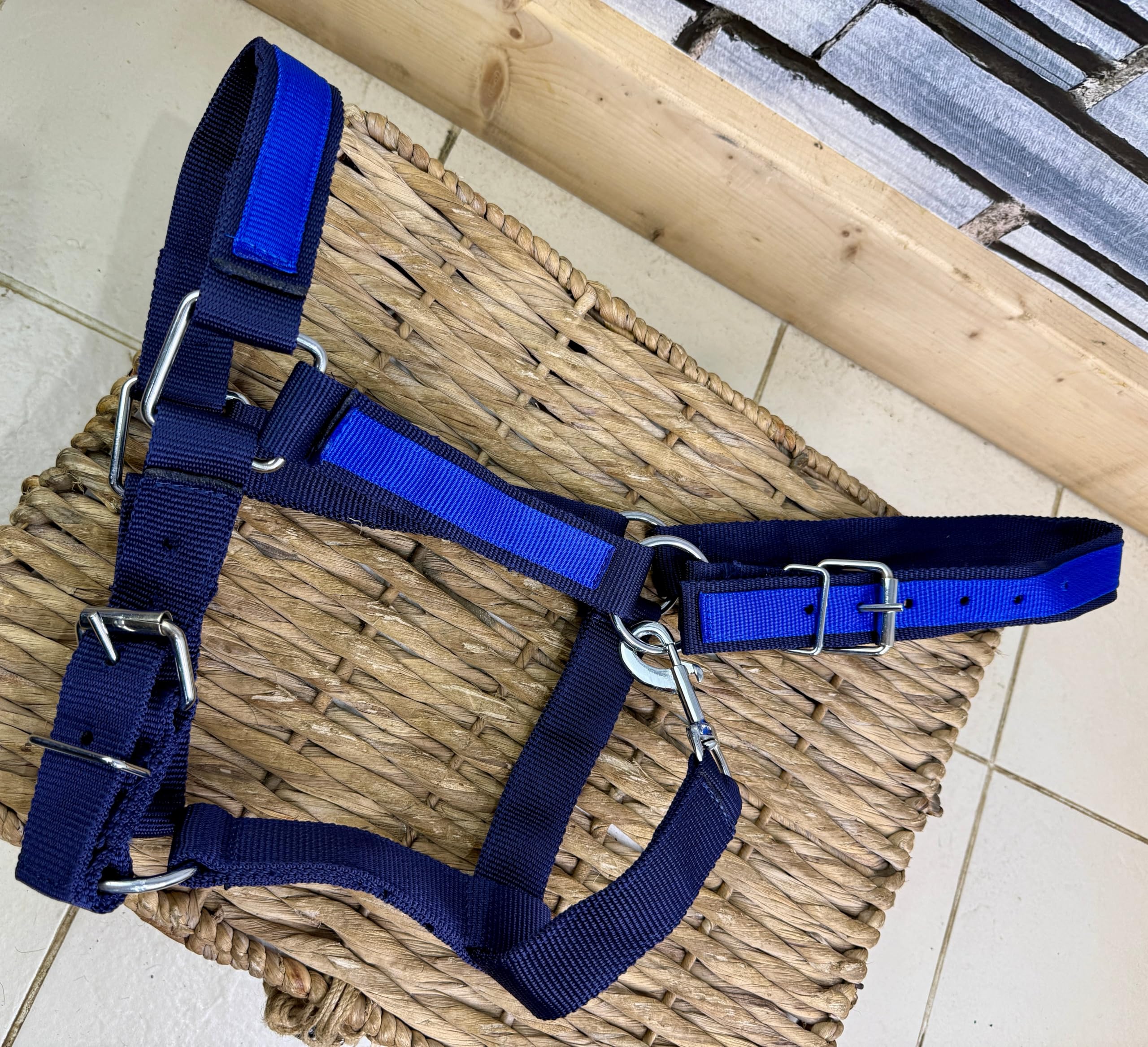 Heavy Horse Headcollar - XL - Heavy Duty Web - XXF -Draft/Shire/Clyde- Navy/Blue/Red/Maroon Navy/Blue