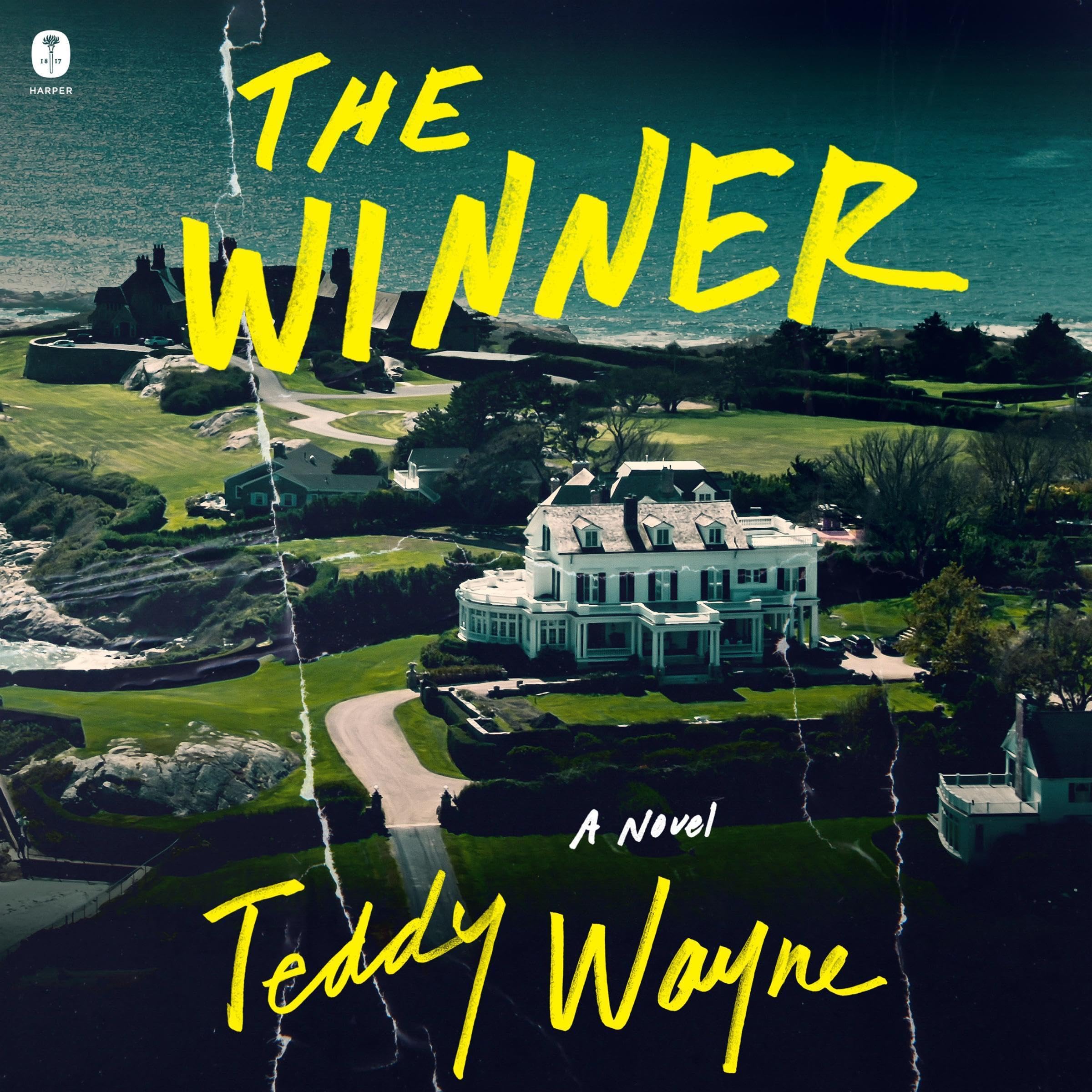 Cover art for The Winner