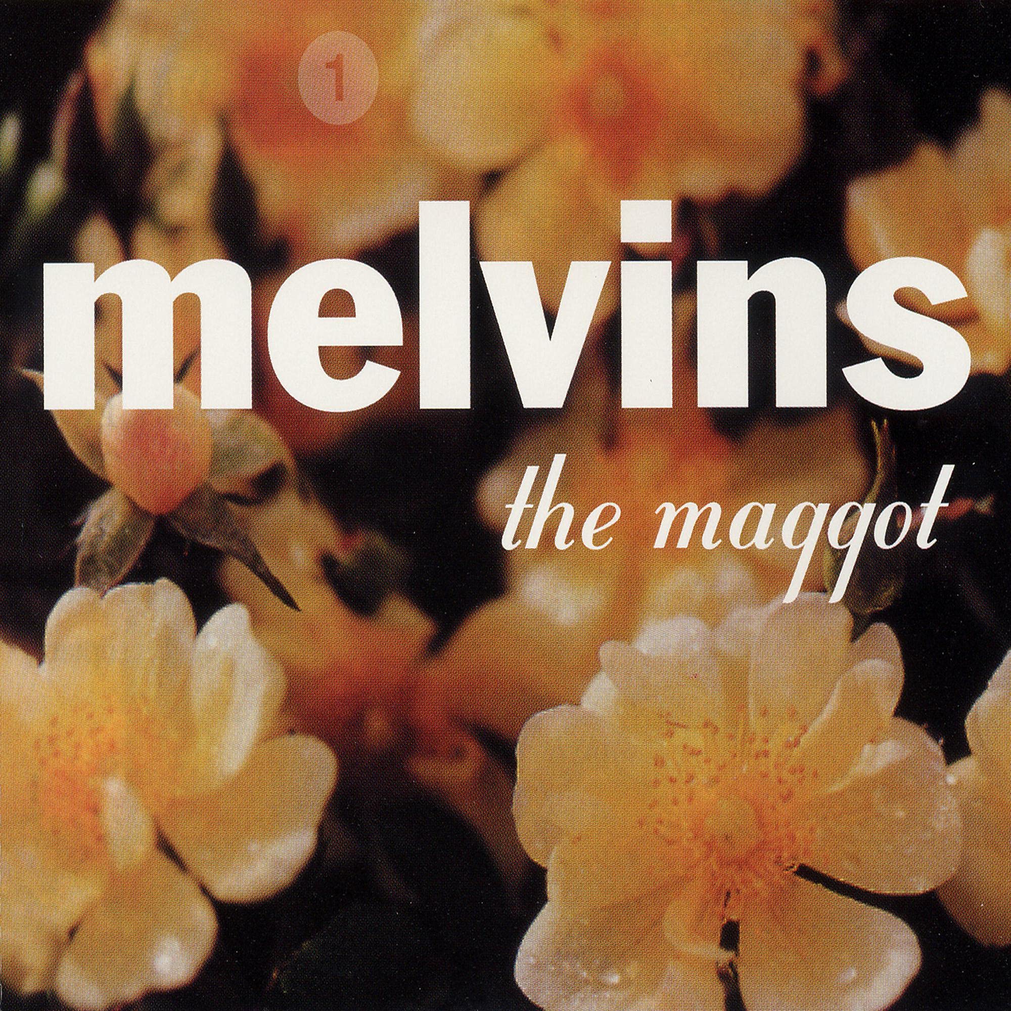 米、加2LP Melvins The Maggot &amp;amp; The Bootlicker  IPC213LP Ipecac Recordings /00660 Płyta winylowa Melvins: The Maggot The Bootlicker [2xWinyl