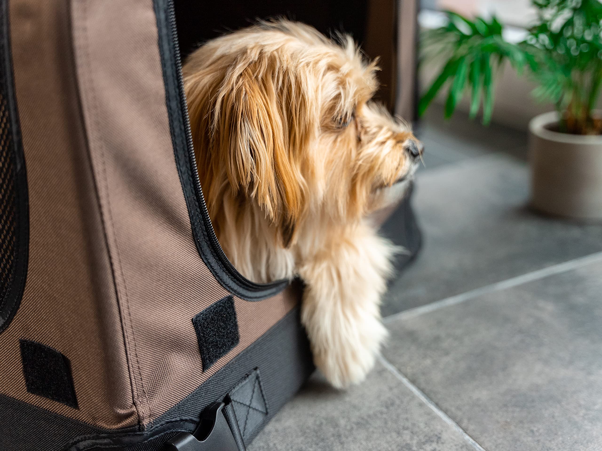 Hundebox TrendPet TPX75-Pro - Leichte, Faltbare Transportbox fürs Auto mit Aluminium Rahmen