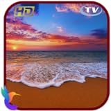 RelaxScapeVibes