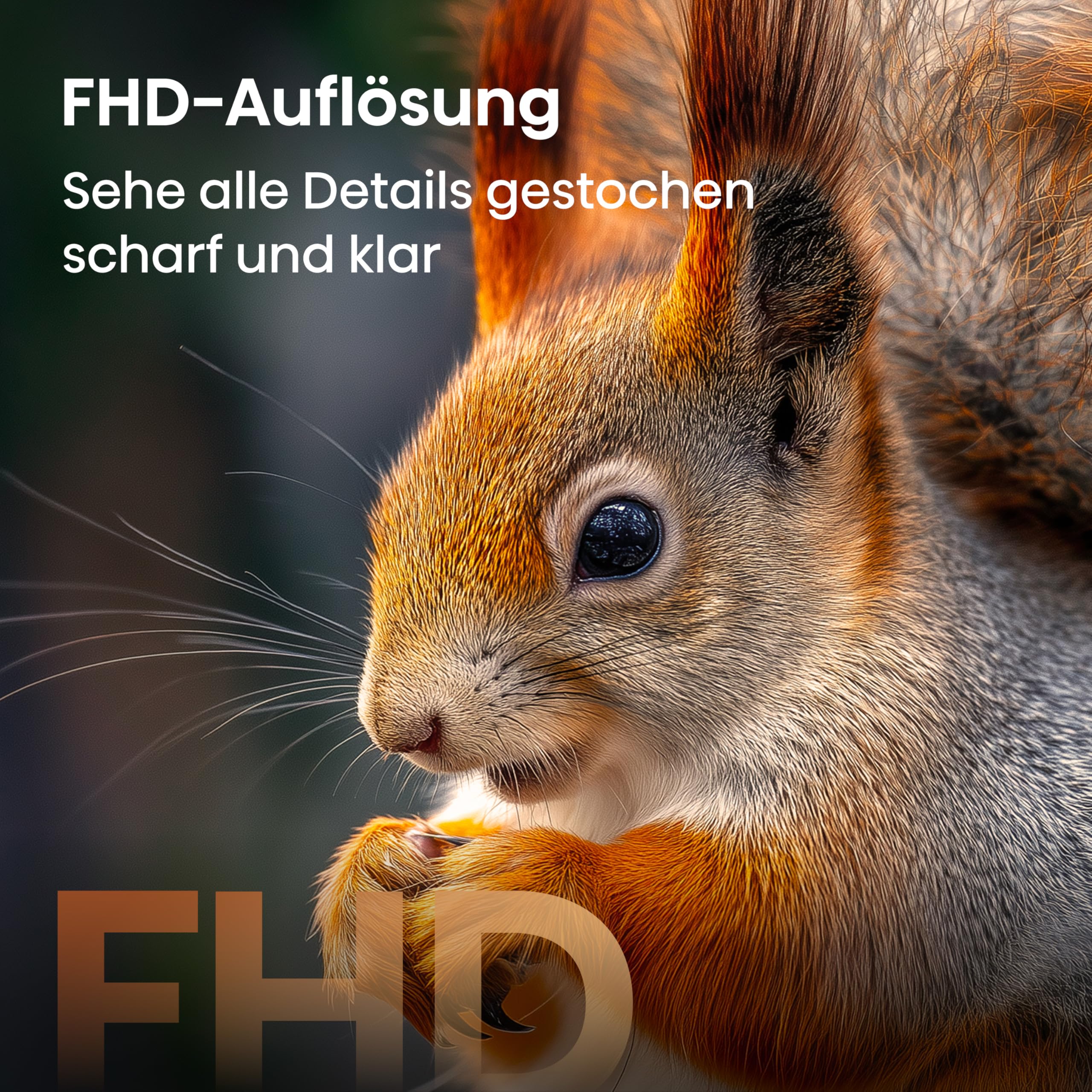 Hisense 32A5DS Fernseher 32 Zoll, FHD, QLED, Smart TV, 60Hz, Hi-QLED Colour, Dolby Atmos, Game Mode, Noise Reduction, Hohe Kontraste, Share to TV, HDR10, VIDAA OS
