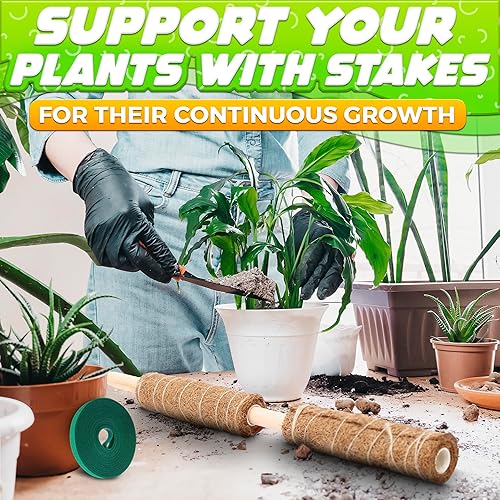 Miniatura 6 de Dimrom Paquete de 2 postes de musgo para monstera, 20 pulgadas, 12 pulgadas, con lazos de jardín de 67 pulgadas, postes para plantas trepadoras,