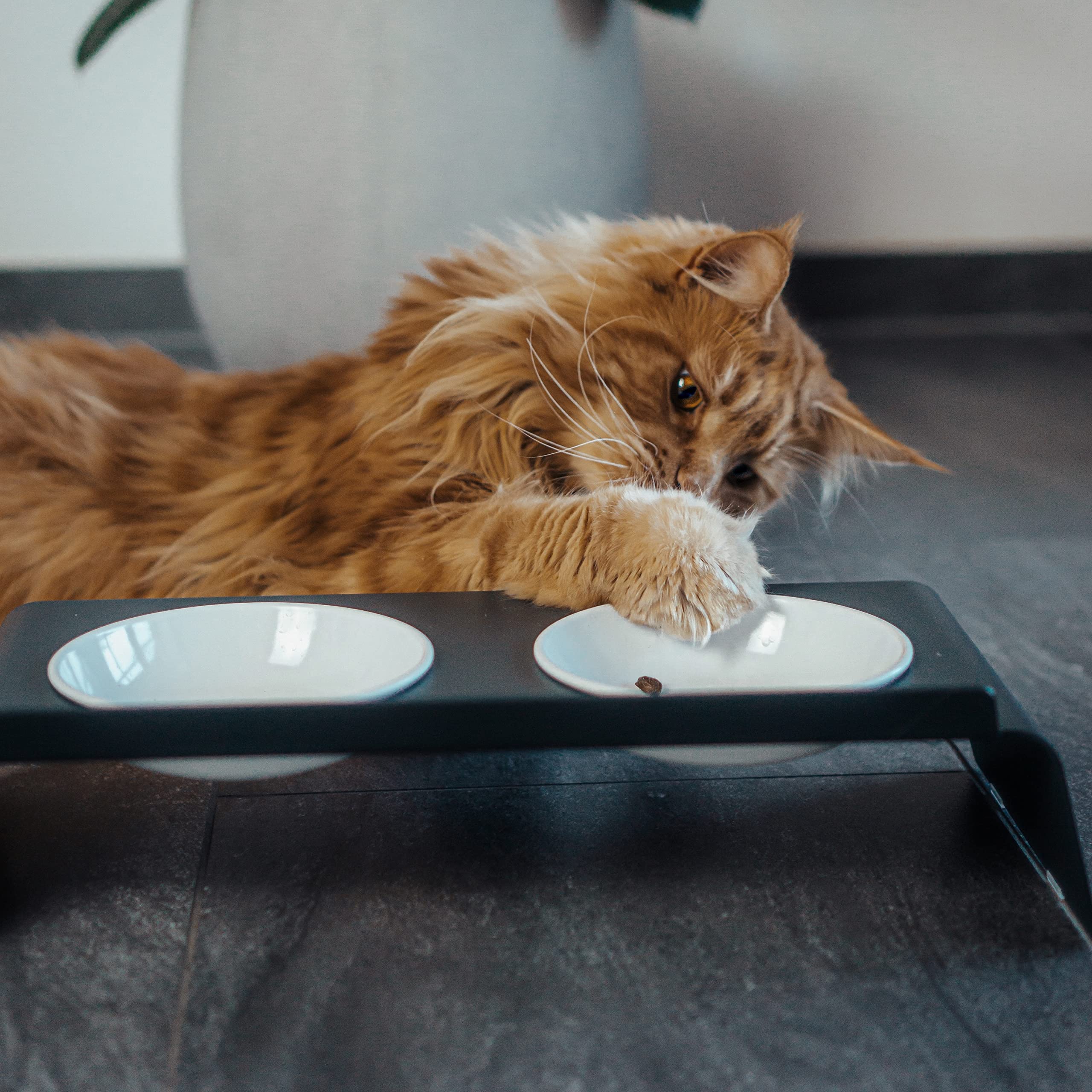 LucyBalu® Dine Doppia mangiatoia per gatti in metallo I Antracite