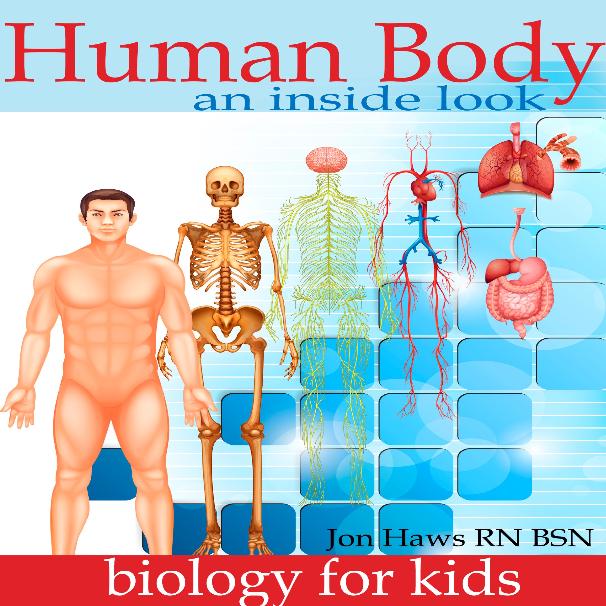 Human Body: Human Anatomy for Kids - an Inside Look at Body Organs